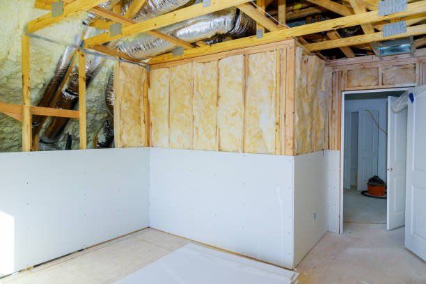 Best Basement Insulation  in Three Lakes, WA