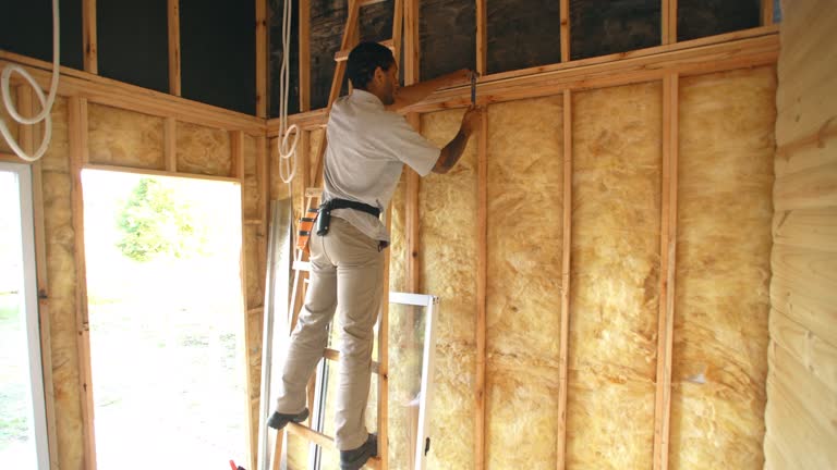 Best Spray Foam Insulation  in Three Lakes, WA